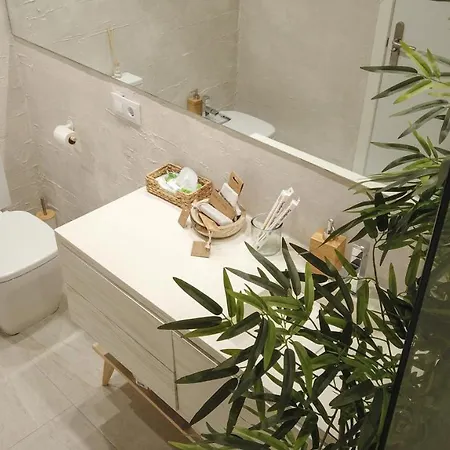 Atic Premium Con Jacuzzi Apartment