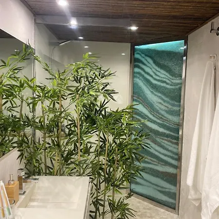 Apartment Atic Premium Con Jacuzzi *